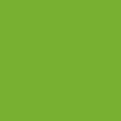 Small (10cm x 2cm) / Bright Green