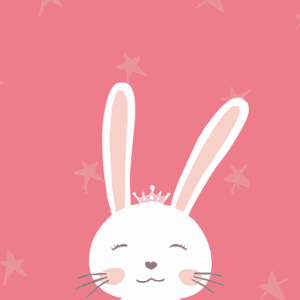 No Add-on / Bunny Love