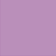 40 Labels / Lilac