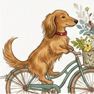 Pedals & Paws