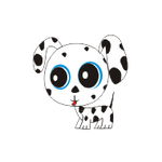 Pongo
