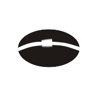 Ruck