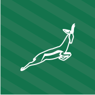 Rugby Fever