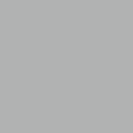 Black / Silver
