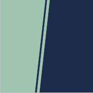 38 Labels / Split Personality
