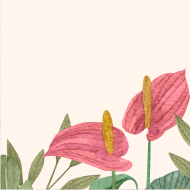 Summer Garden