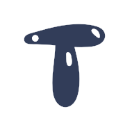 Navy Blue / T