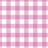 Gingham Glam
