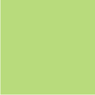 A4 - Pack of 4 / Mint Green