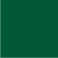 Circle / Green and Gold Pride