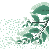 Circle / Sage Botanical