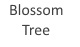 BLOSSOM TREE